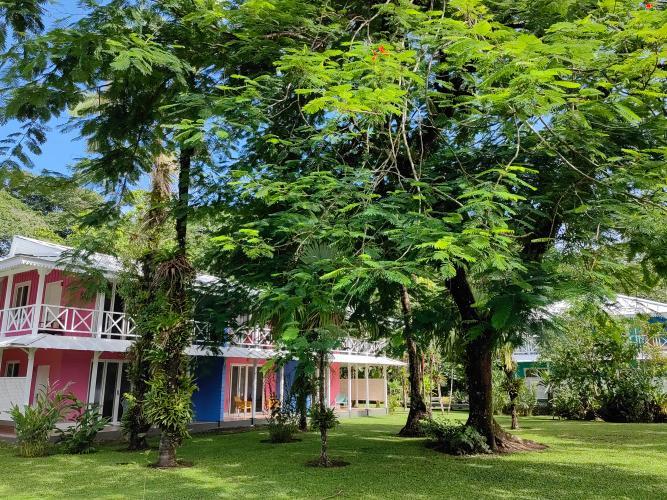 Tortuga Lodge & Gardens By Boeena Tortuguero Camera foto