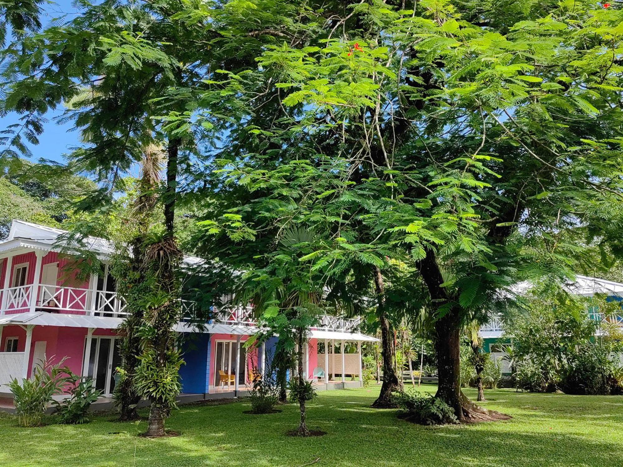 Tortuga Lodge & Gardens By Boeena Tortuguero Esterno foto